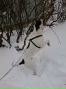 Фотография Уваровой Евгении