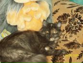 Діма Микитин фотография #13 (источник - https://vk.com/id94342140)