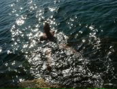 Сергій Вербіцький фотография #16 (источник - https://vk.com/id7446179)