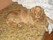 Игорь Горох фотография #5 (источник - https://vk.com/id6322143)