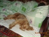 Игорь Горох фотография #25 (источник - https://vk.com/id6322143)