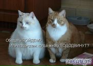 Ірина Артюшенко фотография #43 (источник - https://vk.com/id49141359)