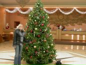 Фотография Шадриной Аллы