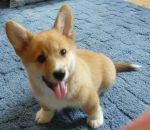 Фотография Акуленко Оксаны