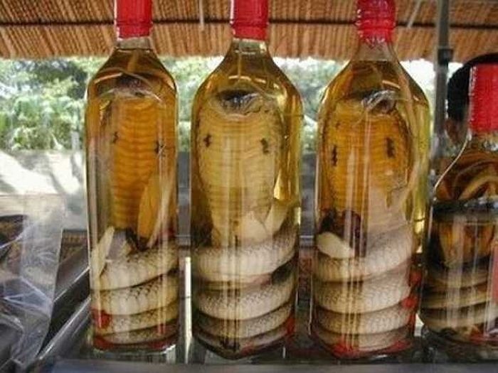 Фарид Гайсин фотография #26