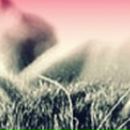 Пєтя Сверба фотография #37 (источник - https://vk.com/id19829246)