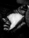 Фотография Косяковой Екатерины