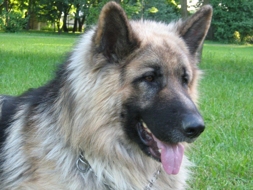 Иван Глотов фотография #5