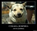 Віталік Вольт фотография #33 (источник - https://vk.com/id2228781)