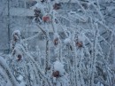 Фотография Кекконен Ирки