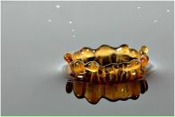 Вера Горбачёва фотография #46 (источник - https://vk.com/id3558538)