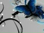 Олько Пер фотография #5 (источник - https://vk.com/id94532)