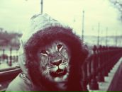 Фотография Куги Владислава