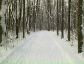 Фотография Дмитриева Михаила