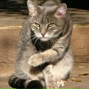 Фотография Кузьминой Ани