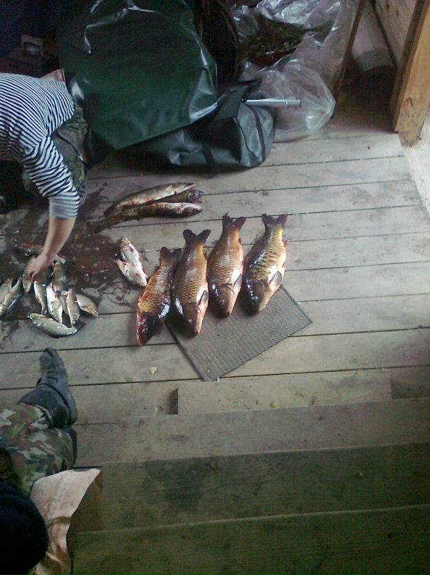 Андрей Пушкарев фотография #16