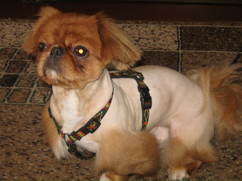 Дмитрий Шевченко фотография #31