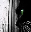 Фотография Новожиловой Олечки