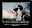 Ігор Мартиняк фотография #17 (источник - https://vk.com/id177521696)