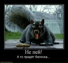 Фотография Дмитриева Алексея