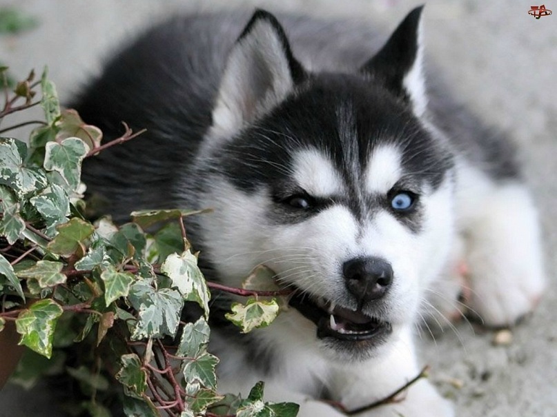 Олег Д фотография #46