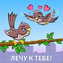 Міша Романюк фотография #17 (источник - https://vk.com/id80403807)