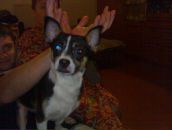 Фотография Родионова Павла