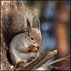 Алінка Красненко фотография #9 (источник - https://vk.com/id162175563)