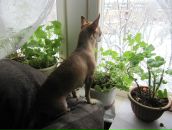 Фотография Маши Медведицы