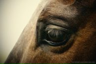 Фотография Чекменёвой Екатерины