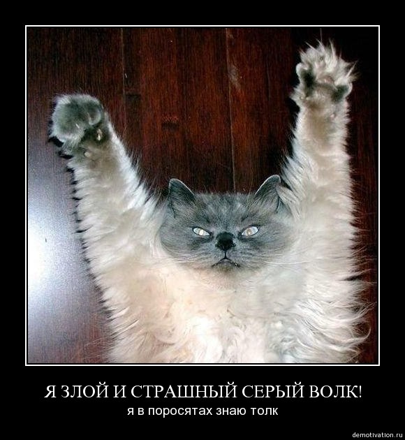 Сергей Лубнин фотография #28