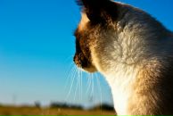 Фотография Баранова Игоря