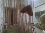 Фотография Охотниковой Кристины