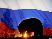 Фотография Закирьянова Евгения