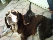 Сергій Листау фотография #21 (источник - https://vk.com/id84326016)