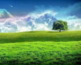 Фотография Матюшкина Александра