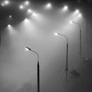 Фотография Несолёного Дениса