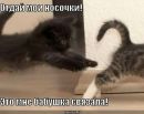 Ліля Петренко фотография #20 (источник - https://vk.com/id117975899)