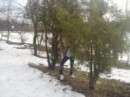 Павліна Костащук фотография #3 (источник - https://vk.com/id72507512)