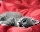 Фотография Мубиновой Елены