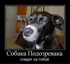 Фотография Мацегоры Анны