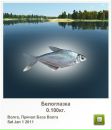 Ігор Брончук фотография #9 (источник - https://vk.com/id100489490)