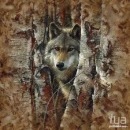 Іван Гарасим'юк фотография #46 (источник - https://vk.com/id122174058)