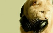 Фотография Мастаковой Анны