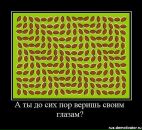 Tol Ya фотография #14 (источник - https://vk.com/id14660620)
