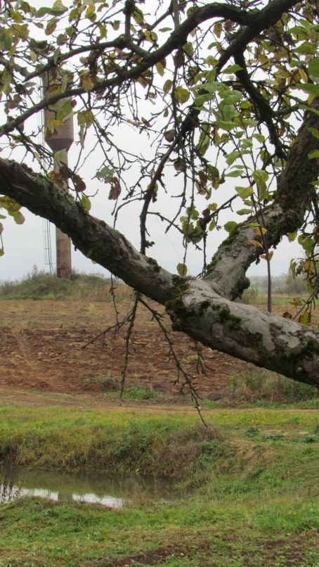 Сергей Барсук фотография #45