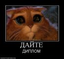 Александр Перепелицын фотография #19 (источник - https://vk.com/id7036993)