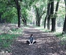 Фотография Данил Тихонов