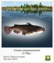 Ігор Крупела фотография #16 (источник - https://vk.com/id83319063)