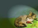 Лєра Хованець фотография #36 (источник - https://vk.com/id50056922)
